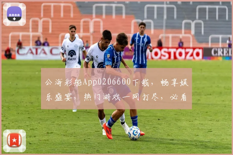 公海彩船App0206600下载，畅享娱乐盛宴，热门游戏一网打尽，必看攻略