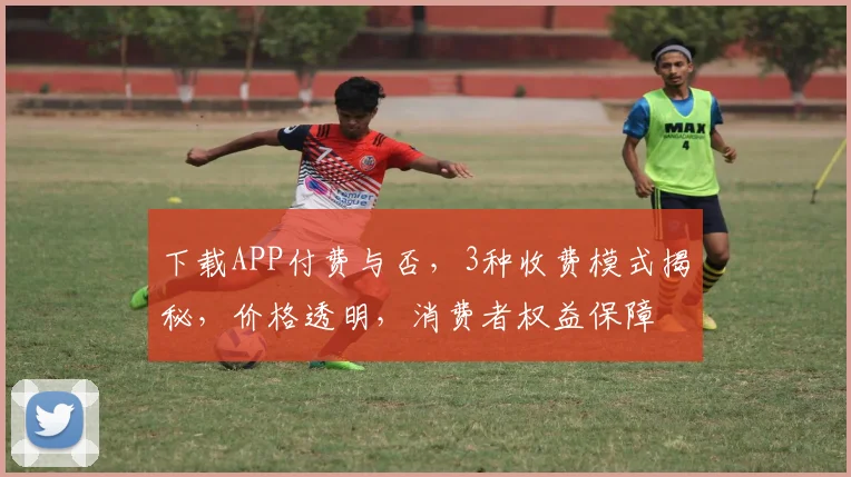 下载APP付费与否，3种收费模式揭秘，价格透明，消费者权益保障
