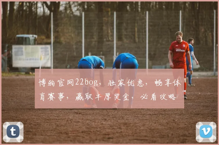 博狗官网22bog，独家优惠，畅享体育赛事，赢取丰厚奖金，必看攻略